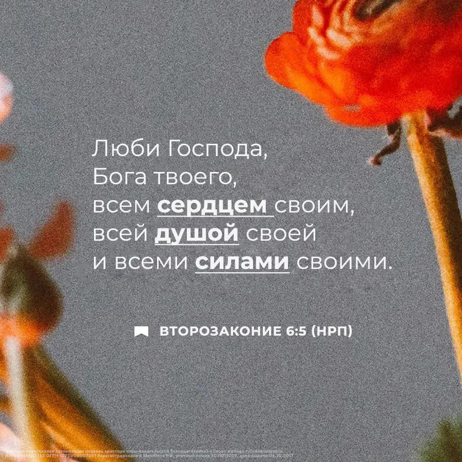 Люби Господа, Бога твоего, всем сердцем своим, всей душой своей и всеми силами своими.