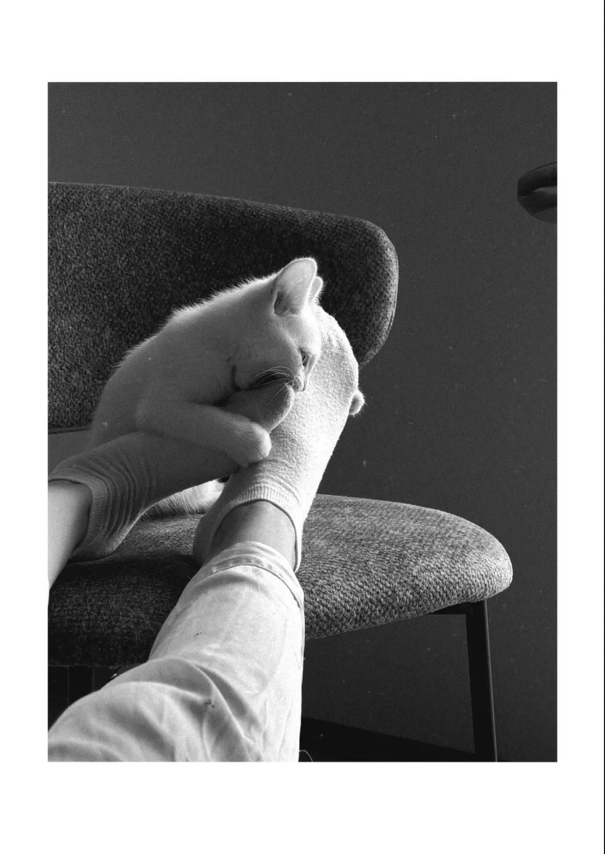 Изображение 1 к публикации «РИВИ»