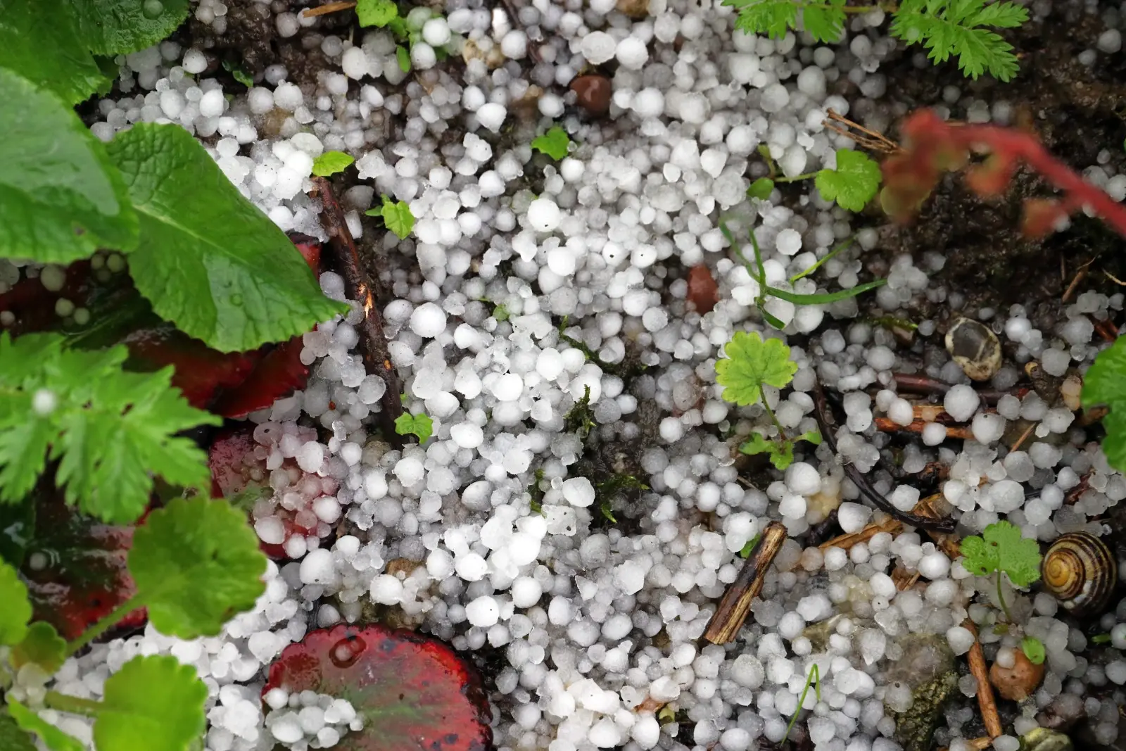🌨 Франция: На смену жаре пришёл град