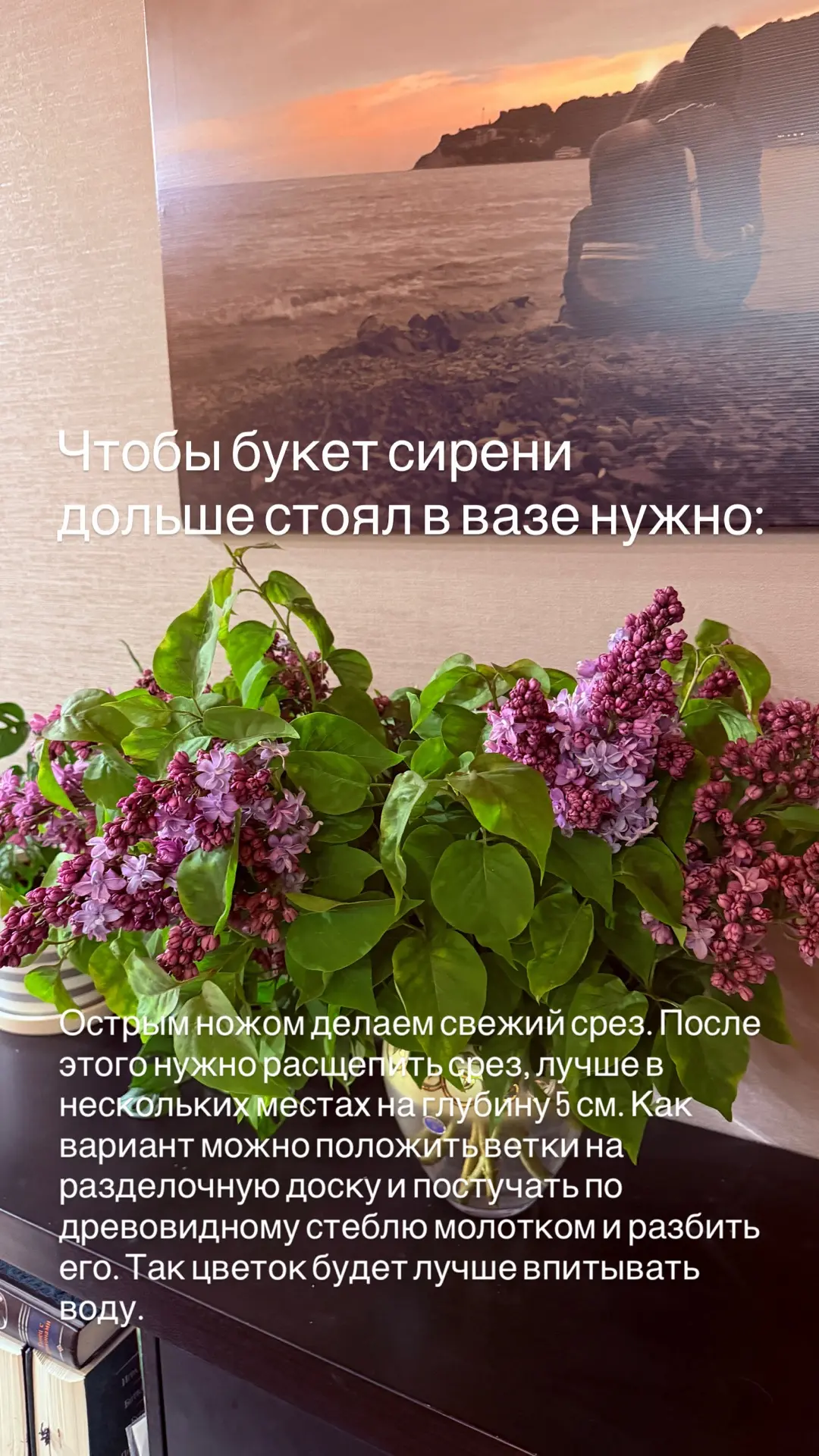 Еще немного секретов сирени💜