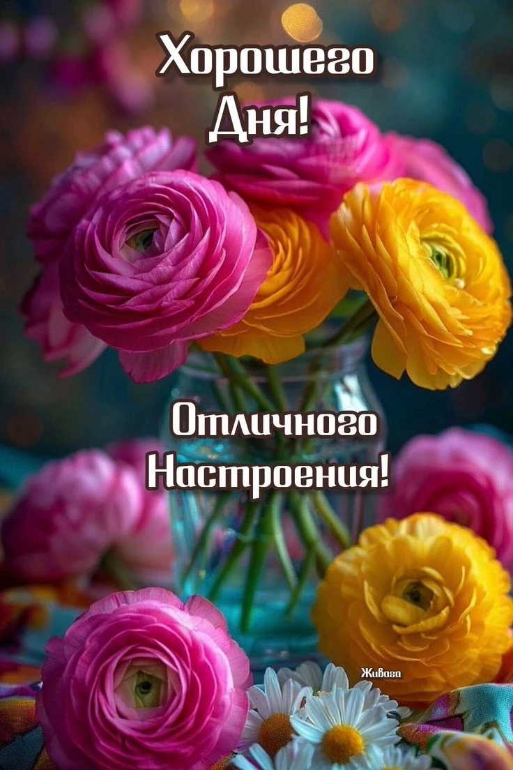 Хорошего дня! Подписаться  @otkritkipozdrav