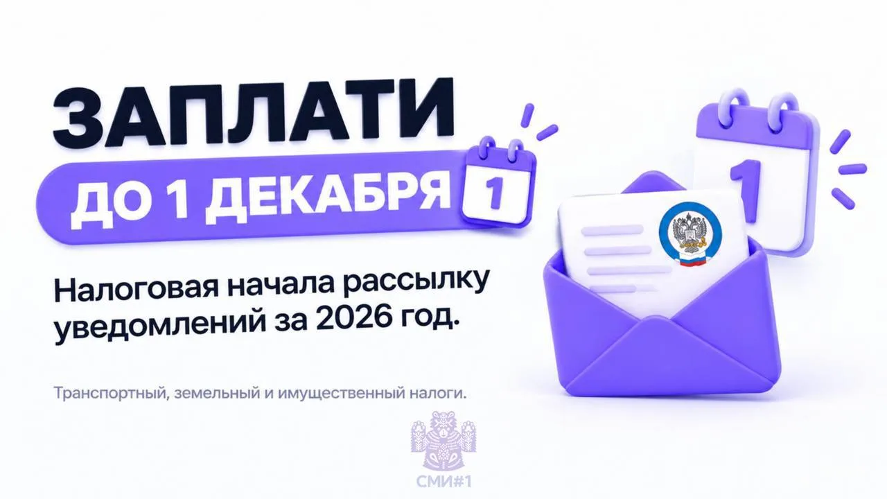 ​💸ФНС начала рассылку налоговых уведомлений