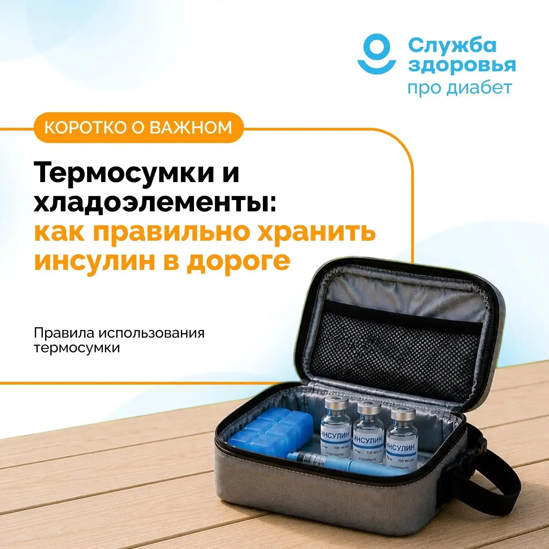 Термосумки и хладоэлементы: как сохранить эффективность инсулина в пути


 ☀️Лето, поездки и просто 