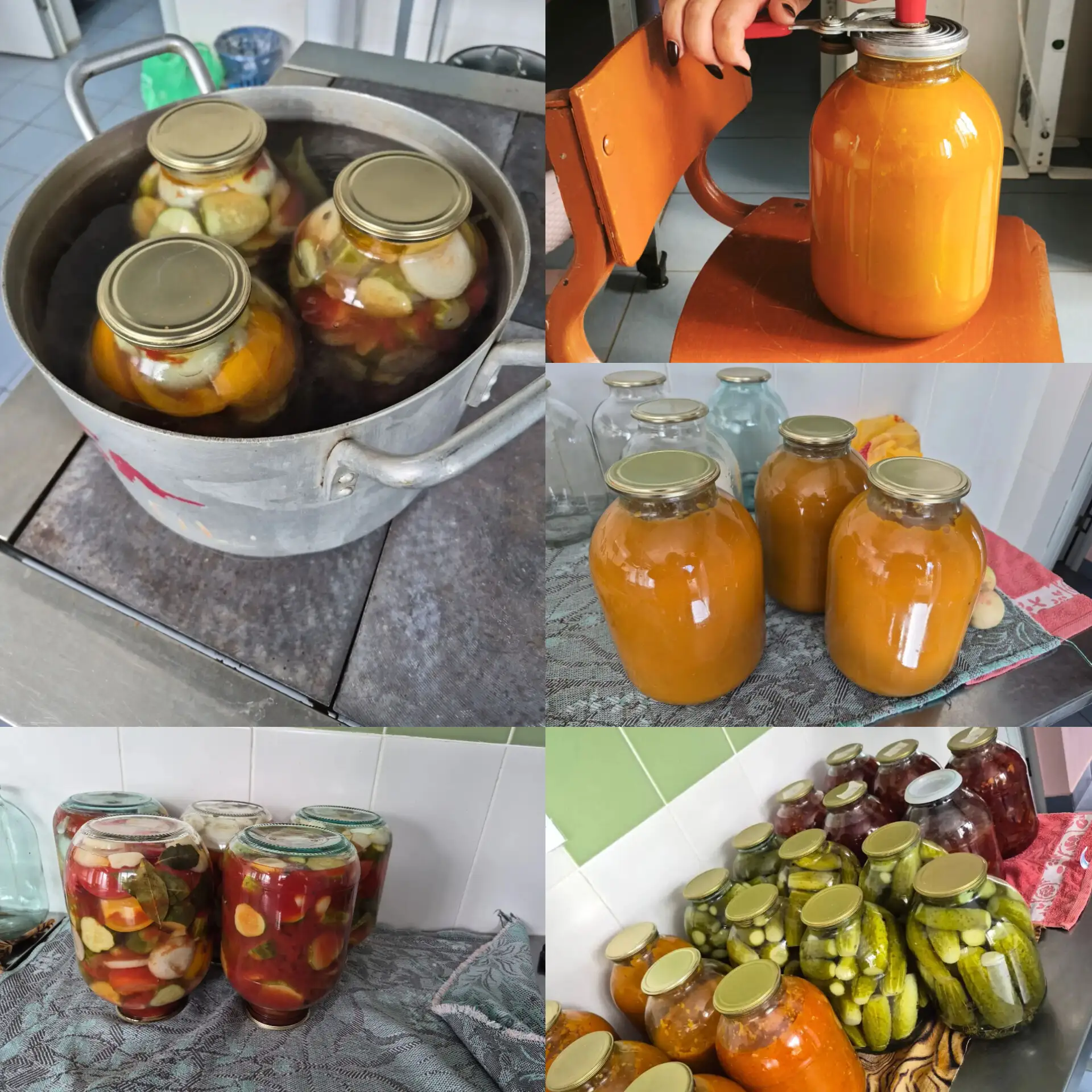 «В школьной столовой разгар работы! 🍲