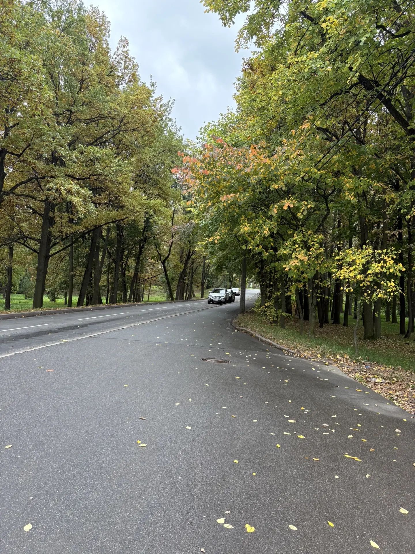 В воскресенье мы выбрались на прогулку в парке возле дома 🍂
