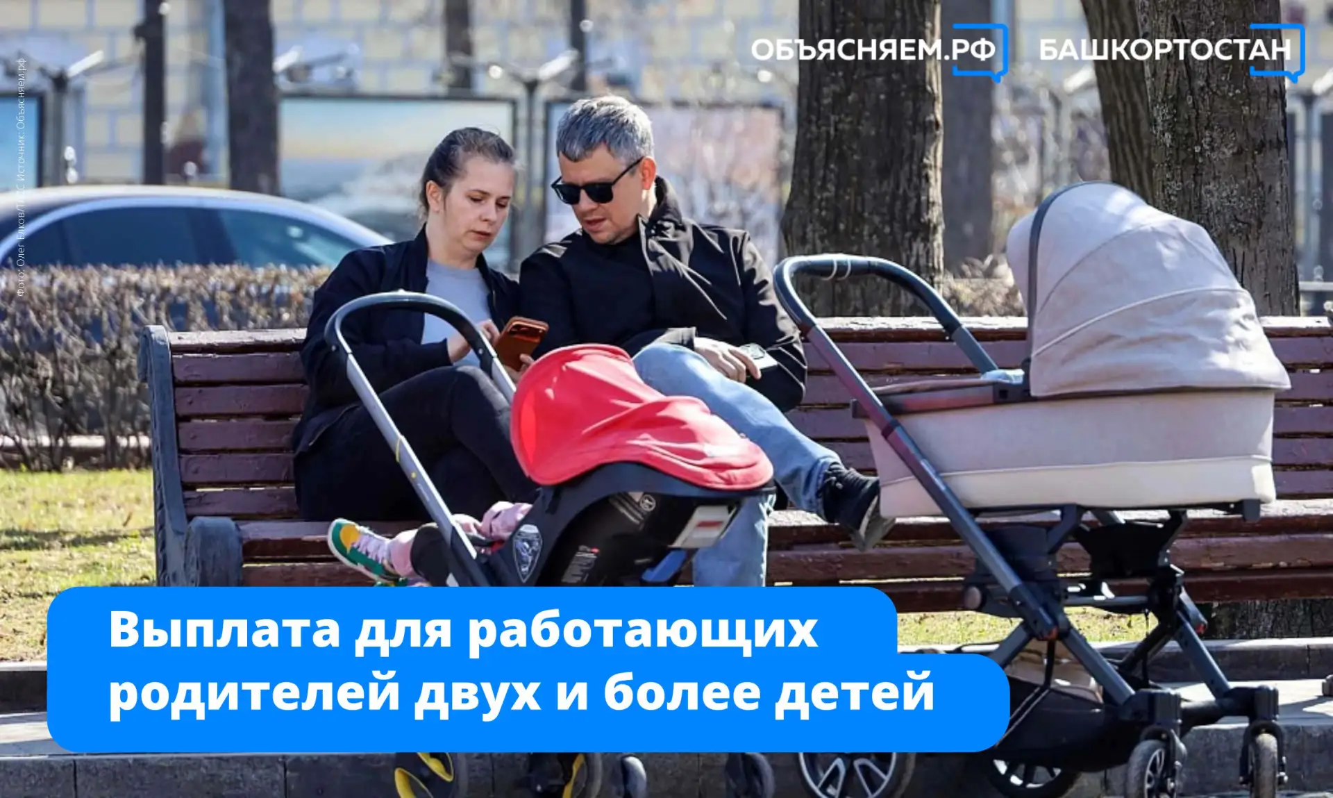 С 1 июня Социальный фонд России начнёт принимать заявления на новую выплату для работаю...