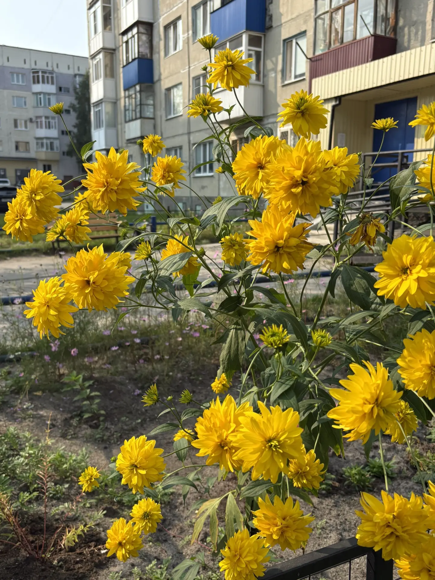🌤 Суббота в Нефтеюганске радует комфортной погодой