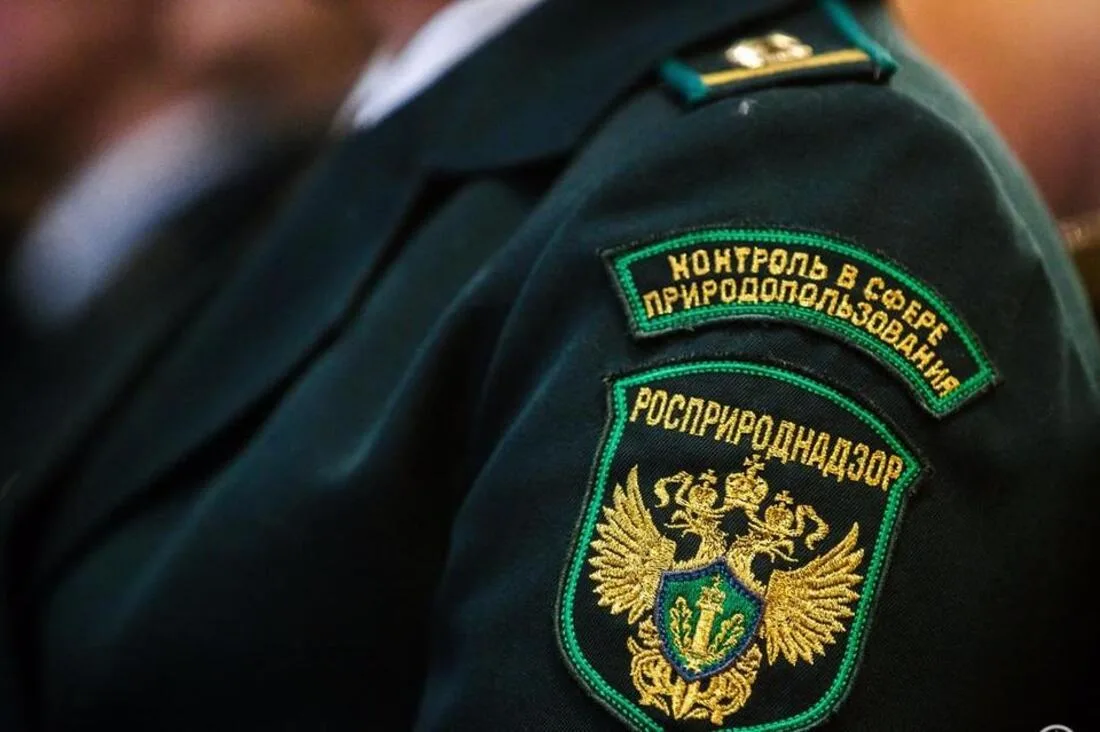 С коммунального предприятия в Перевозе взыскали ущерб реке.