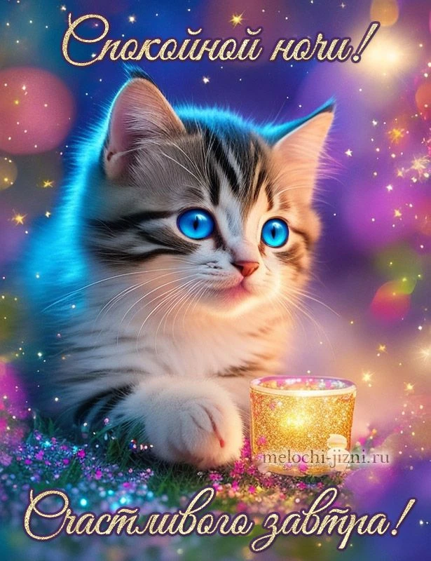 Доброй ночи! Чудесных сновидений! До завтра! ✨🌙