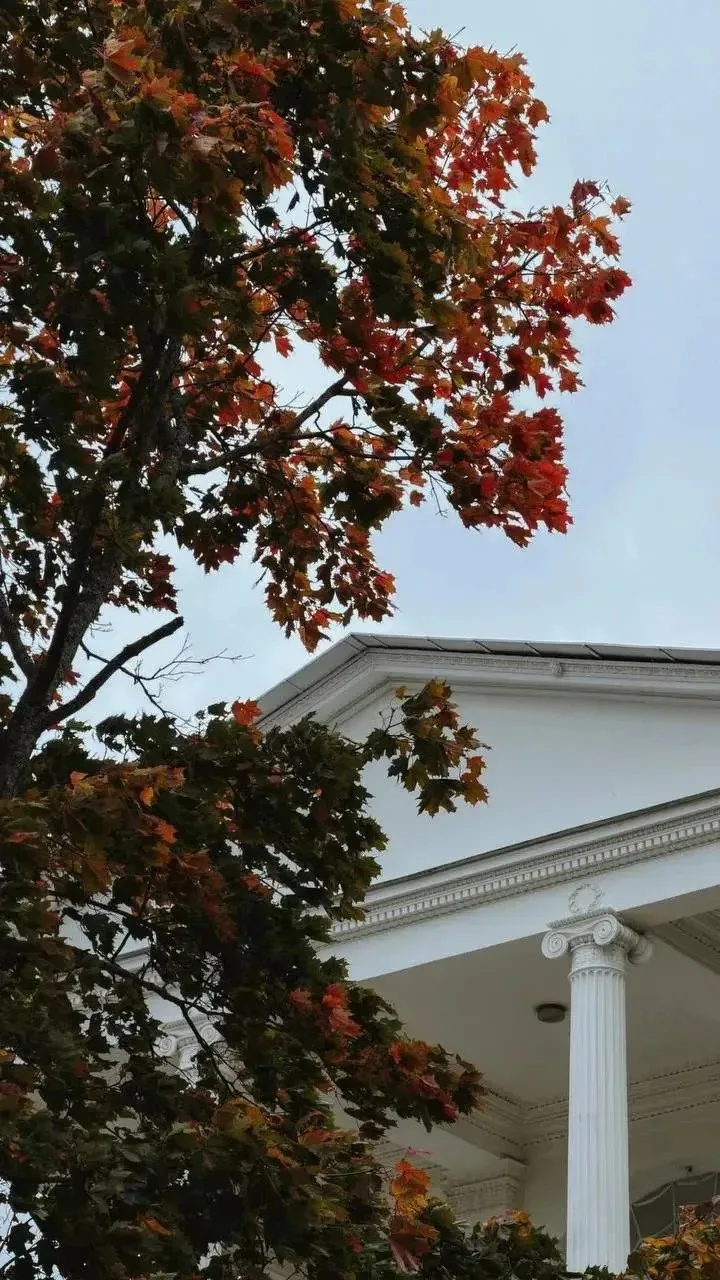 🍁 Краски осени в Царском Селе.