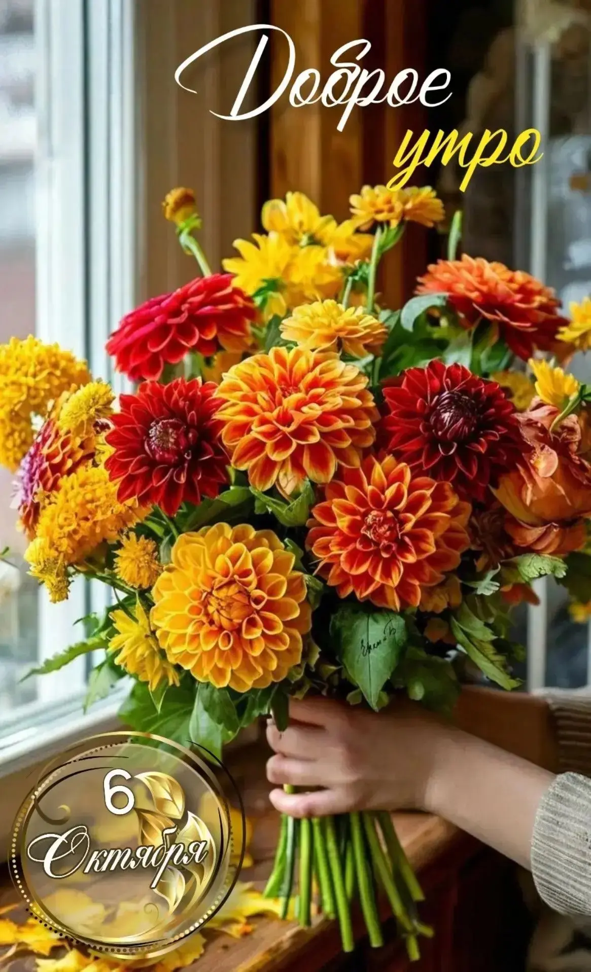 Доброе утро, мои дорогие 💖