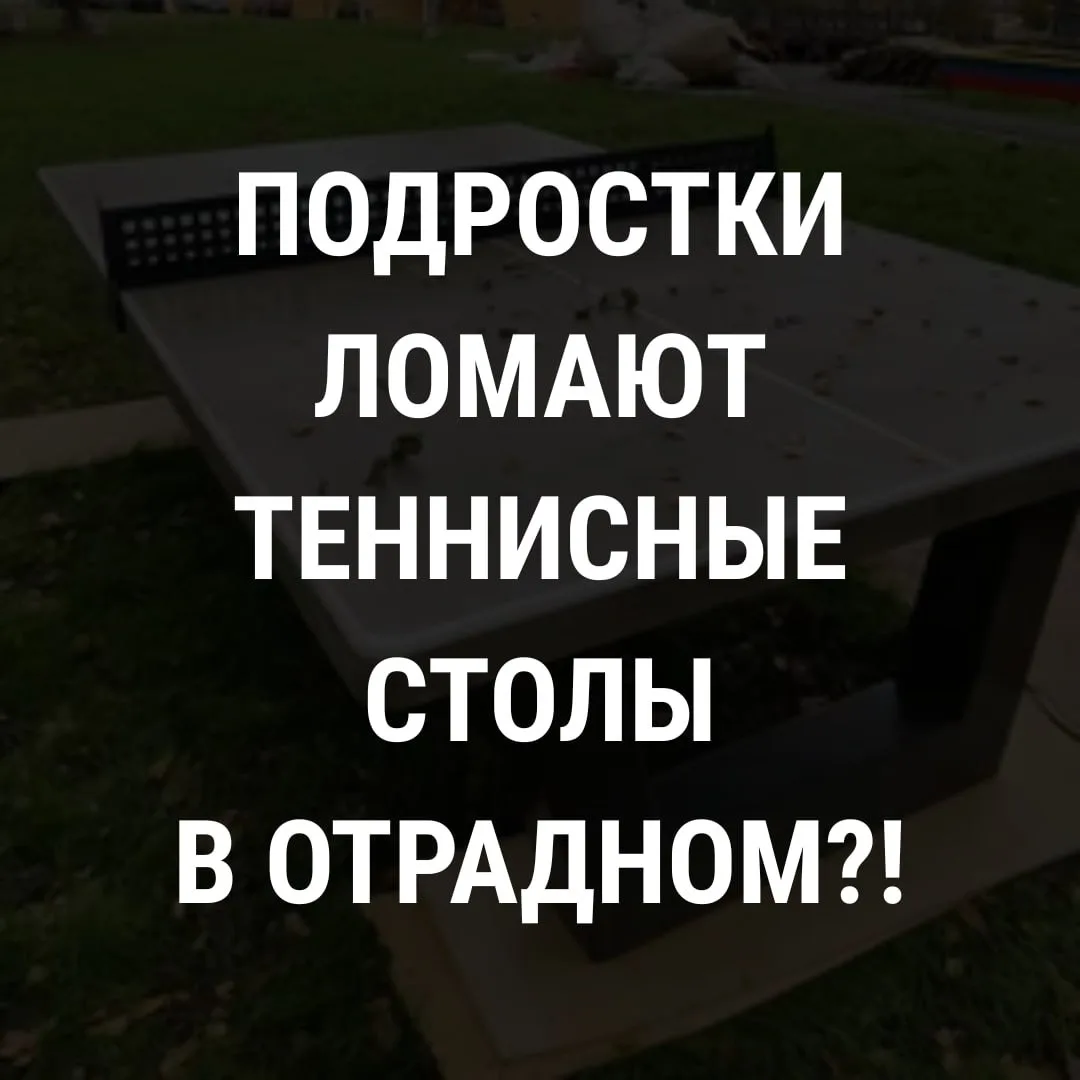 👎В Высоковольтном подростки решили проверить столы для настольного тенниса на прочност...