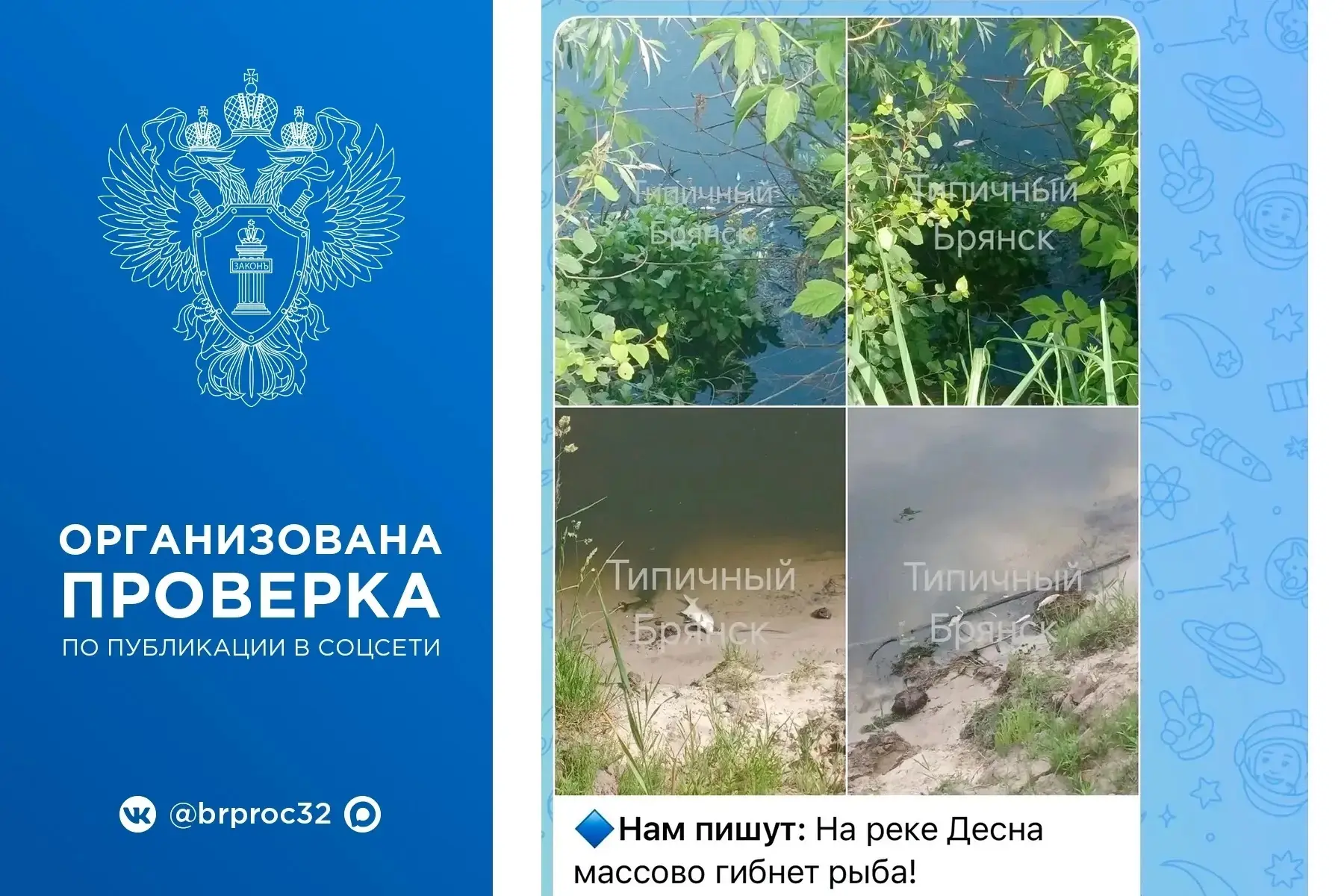 🔷Брянская природоохранная прокуратура организовала проверку после публикации в социальной сети в гр