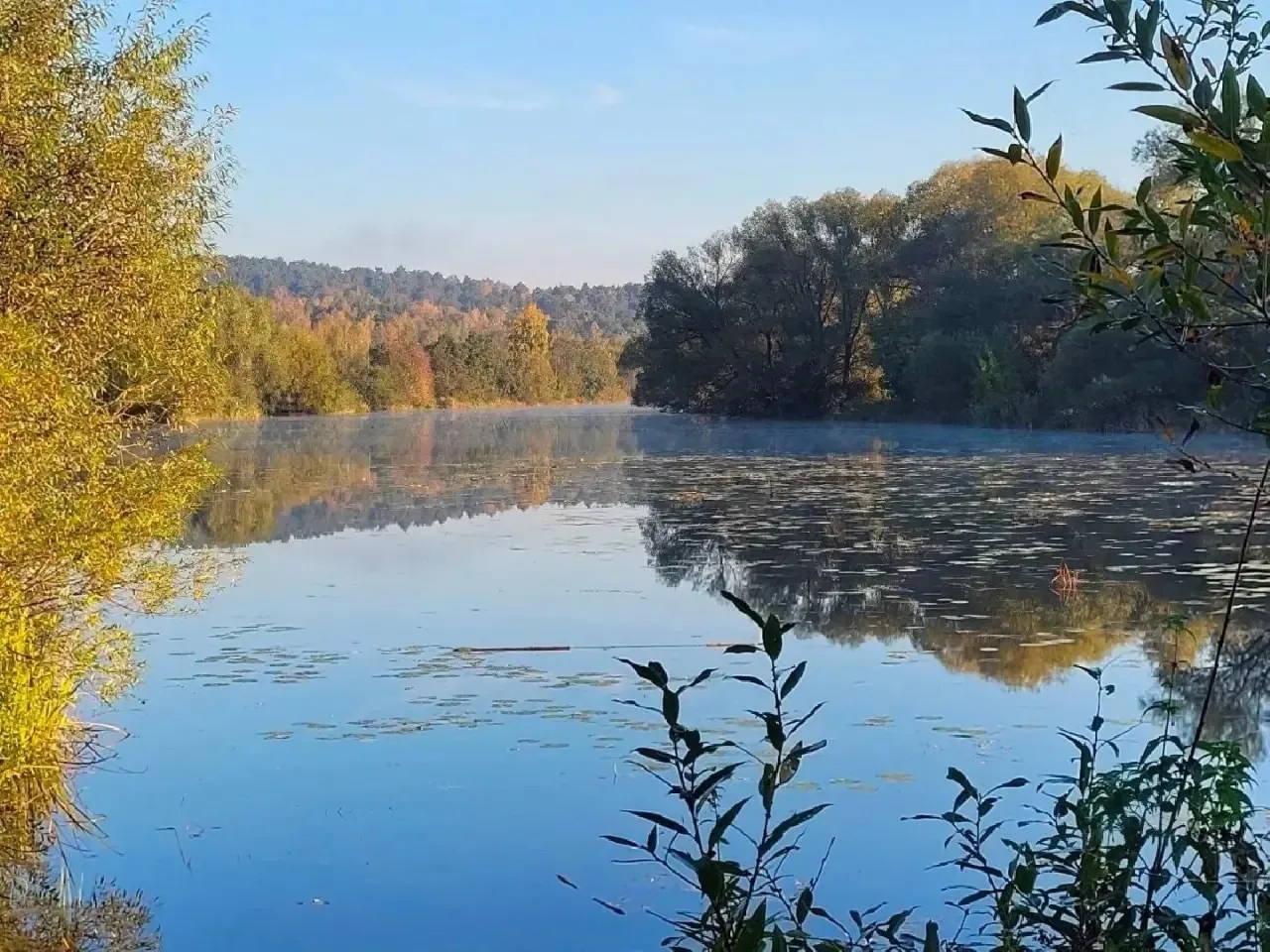 ☀️ Осень в д. Глухово.
