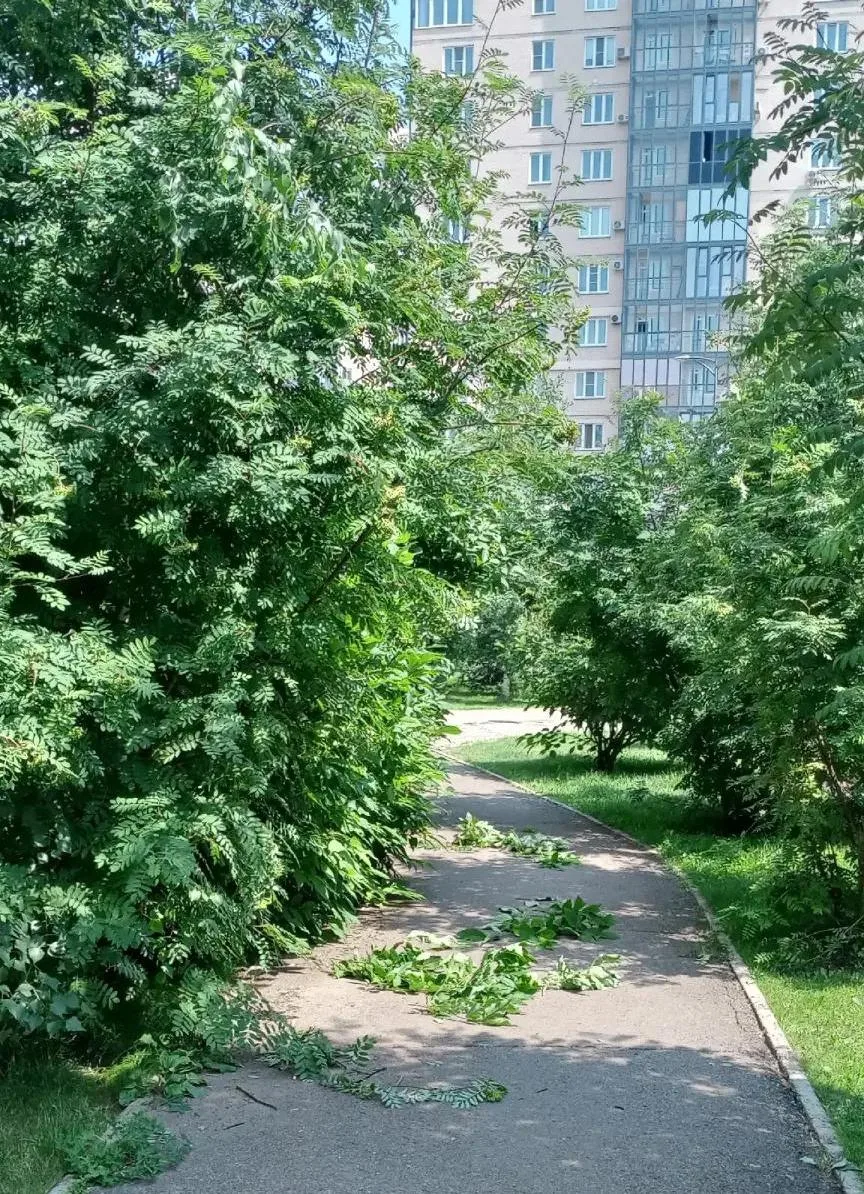 🌿 Иногда достаточно одного разговора, чтобы город стал чуточку удобнее