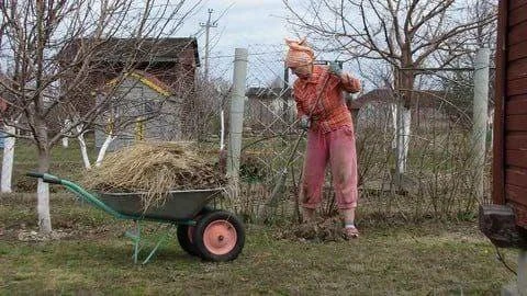 🍁  ОСЕНЬ ПРИШЛА, УБЕРИ У ДВОРА!