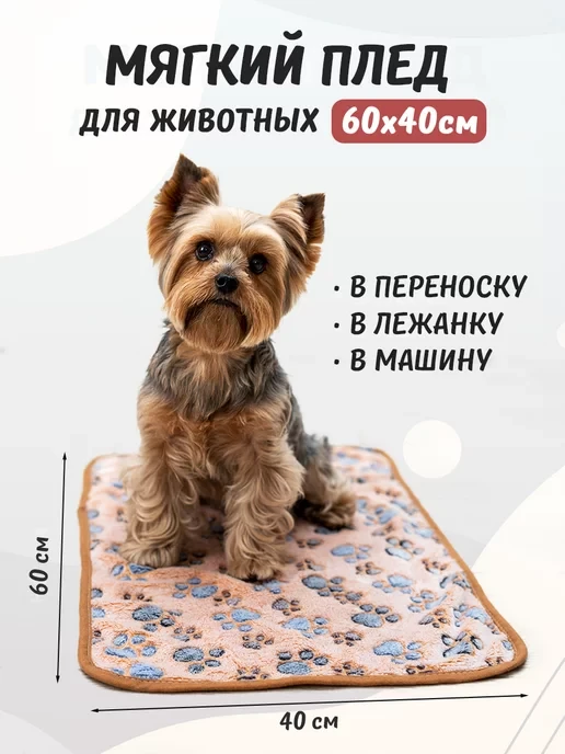 📉 МИНУС 68% ПРЯМО СЕЙЧАС!