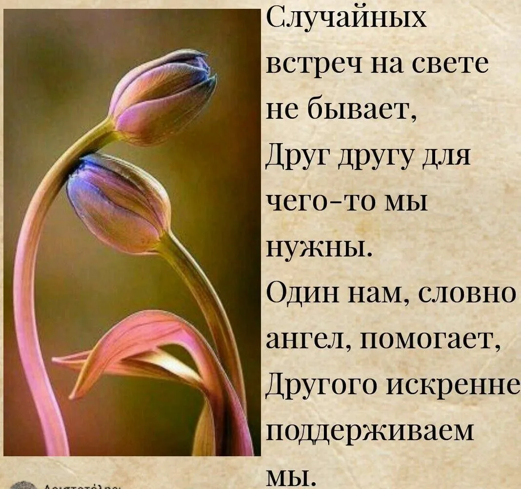 День пяти случайных встреч отмечается 27 июля. 
Суть праздника — напомнить о том, как случайные встр