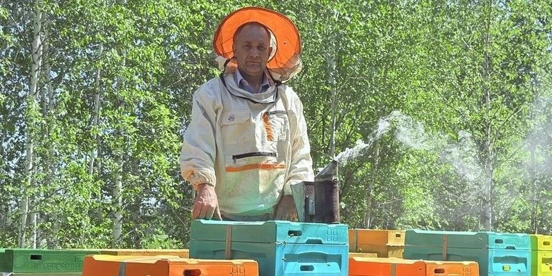 Пчеловод из Кожевниковского района увеличил пасеку до 65 семей благодаря гранту

Житель села Осиновк