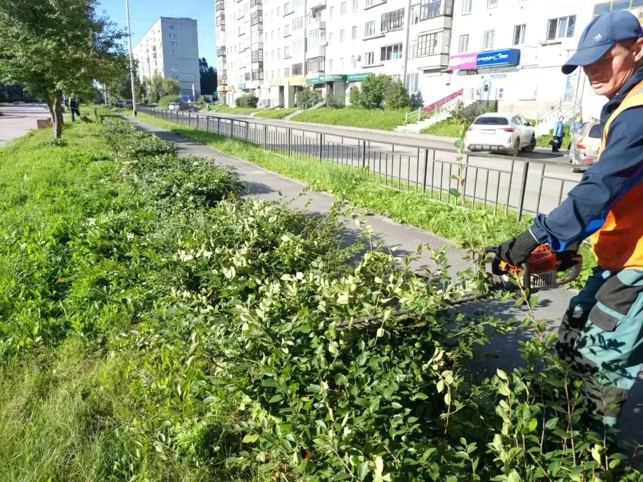 🔹 Работы по содержанию территории продолжаются