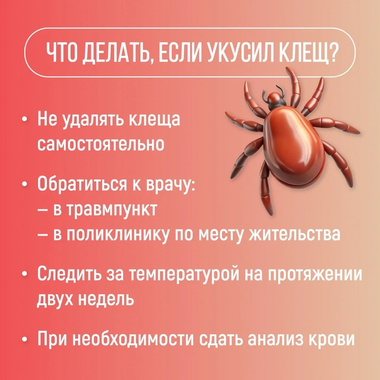 Клещи не дремлют ☀