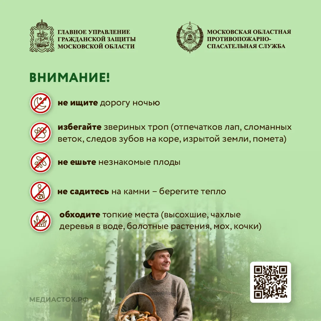 🌲Как подготовиться к походу в лес, что взять с собой, и как найти дорогу, если сбились с пути – чита