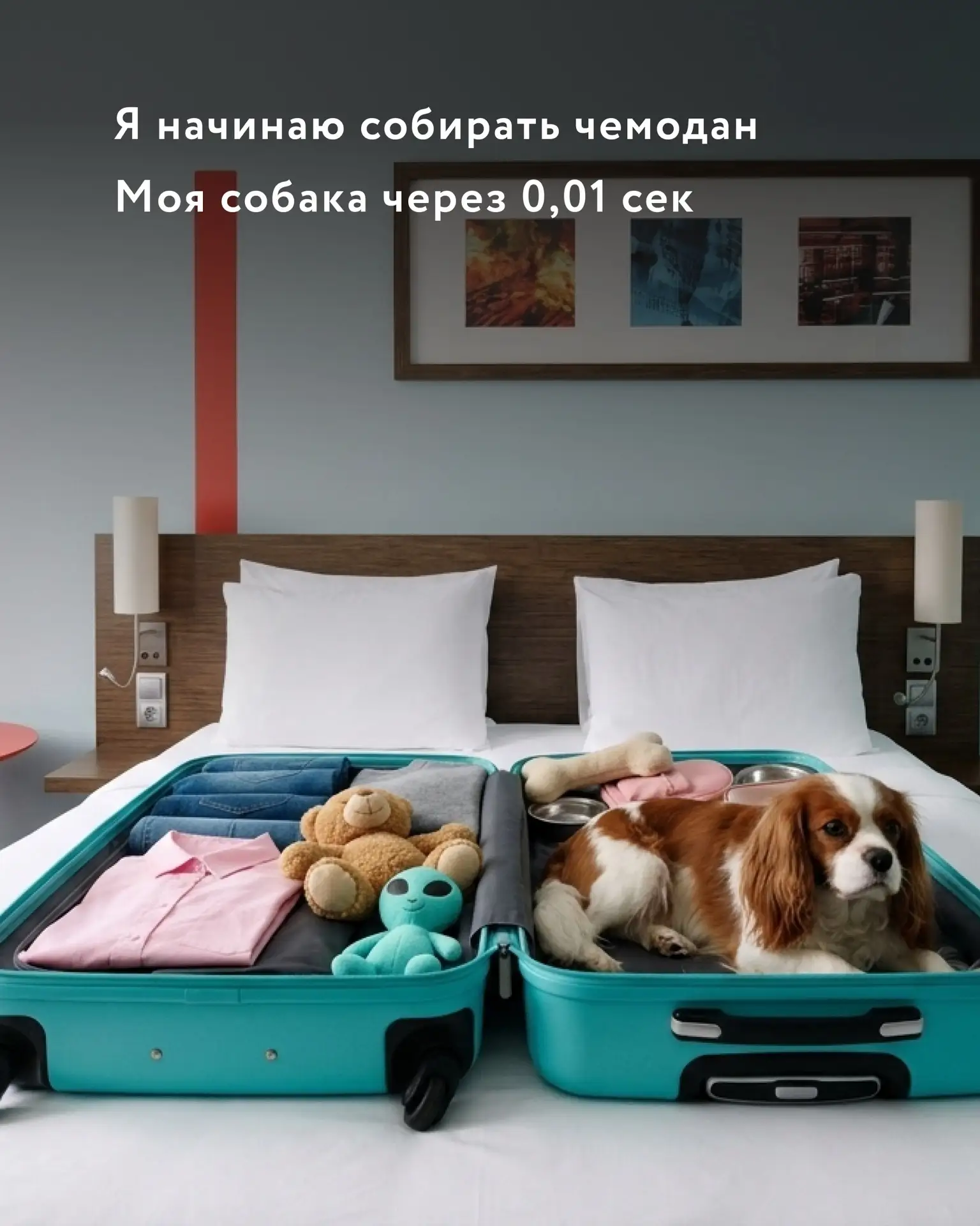 Путешествовать с собакой — это отдельный вид счастья