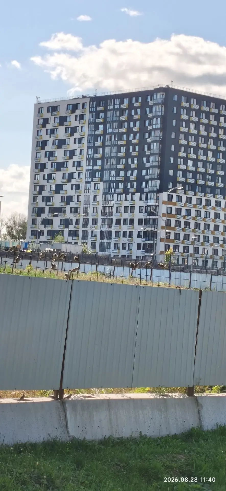 Когда слышу, что в Москве типа воробьёв стало не видно, удивляюсь и каждый раз улыбаюсь...