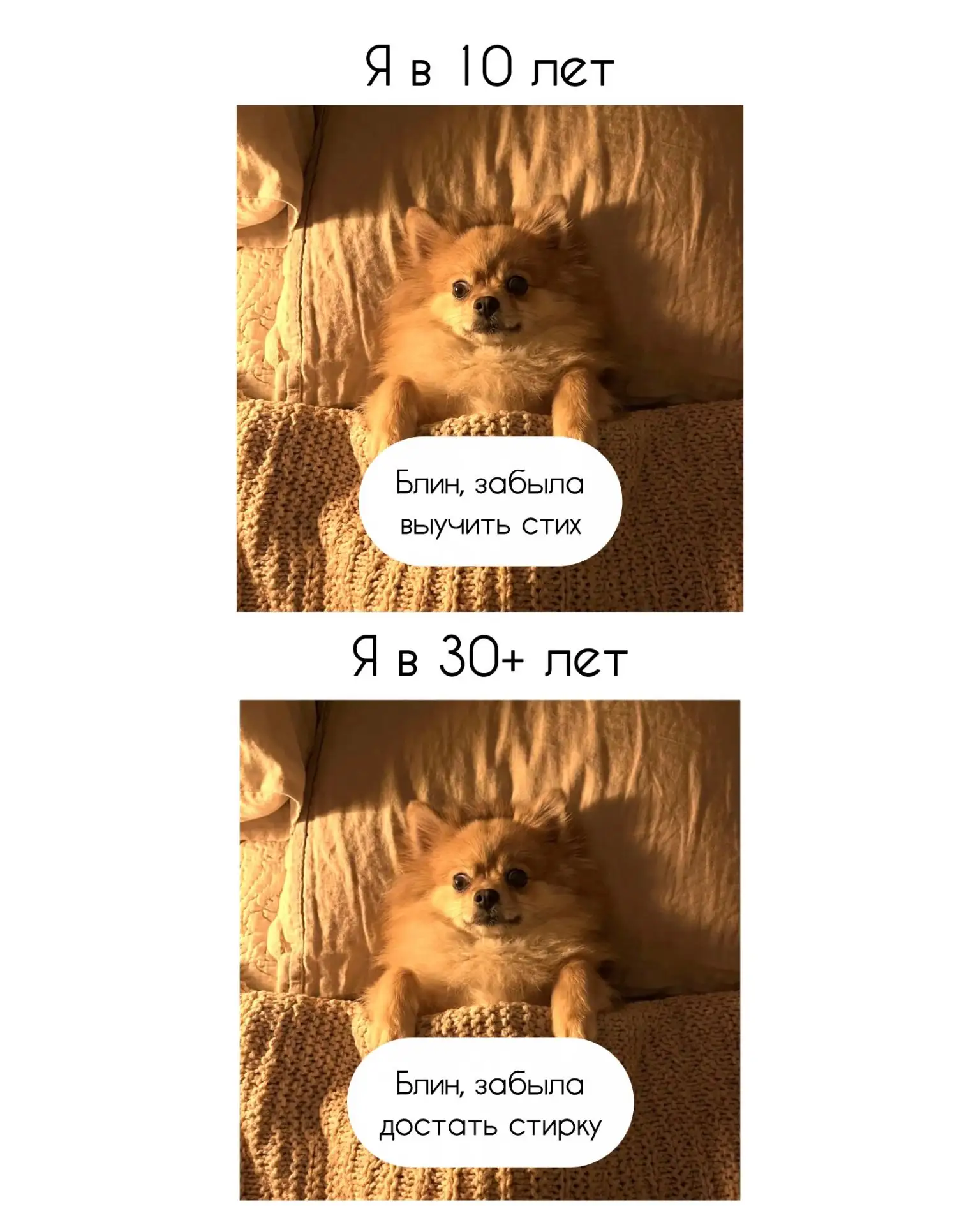 Почему самые важные мысли приходят именно тогда, когда уже почти уснул?🤣