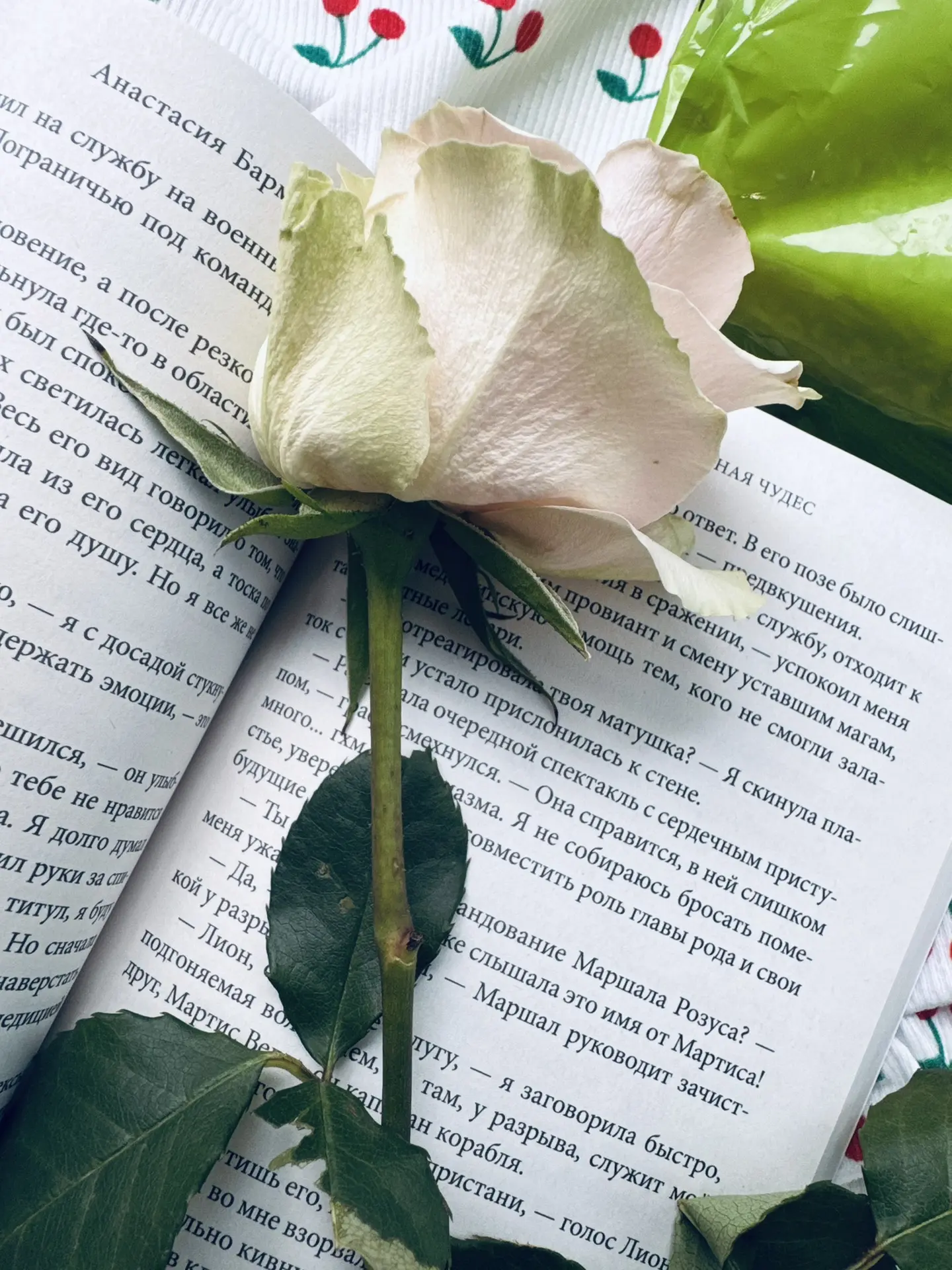 🌸 Доброе утро!

Очень хочется выполнить свой план на ЛЛ! Поставила себе цель - 150 книг, но пока пр