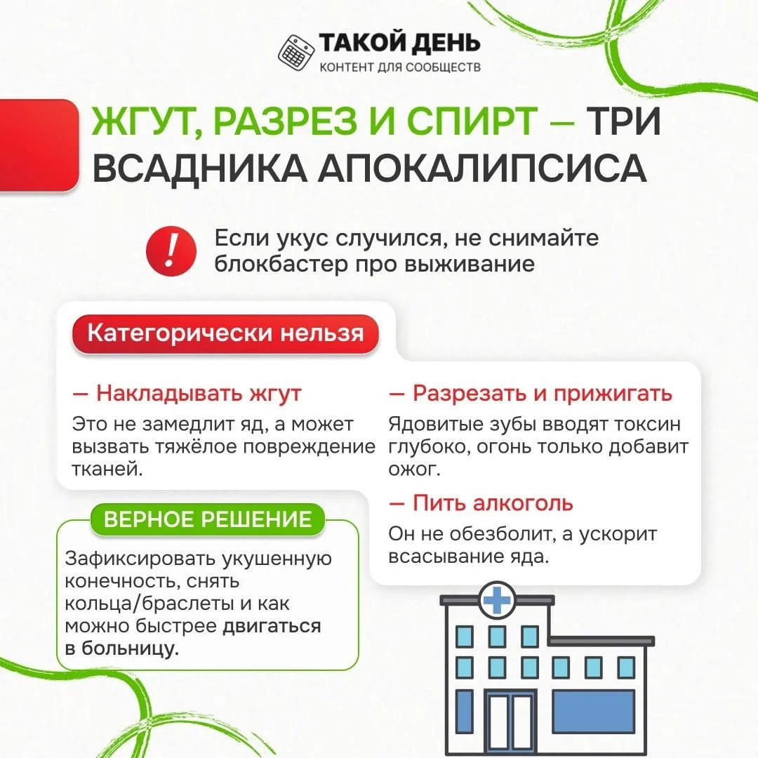 Памятка «Лес без происшествий»
