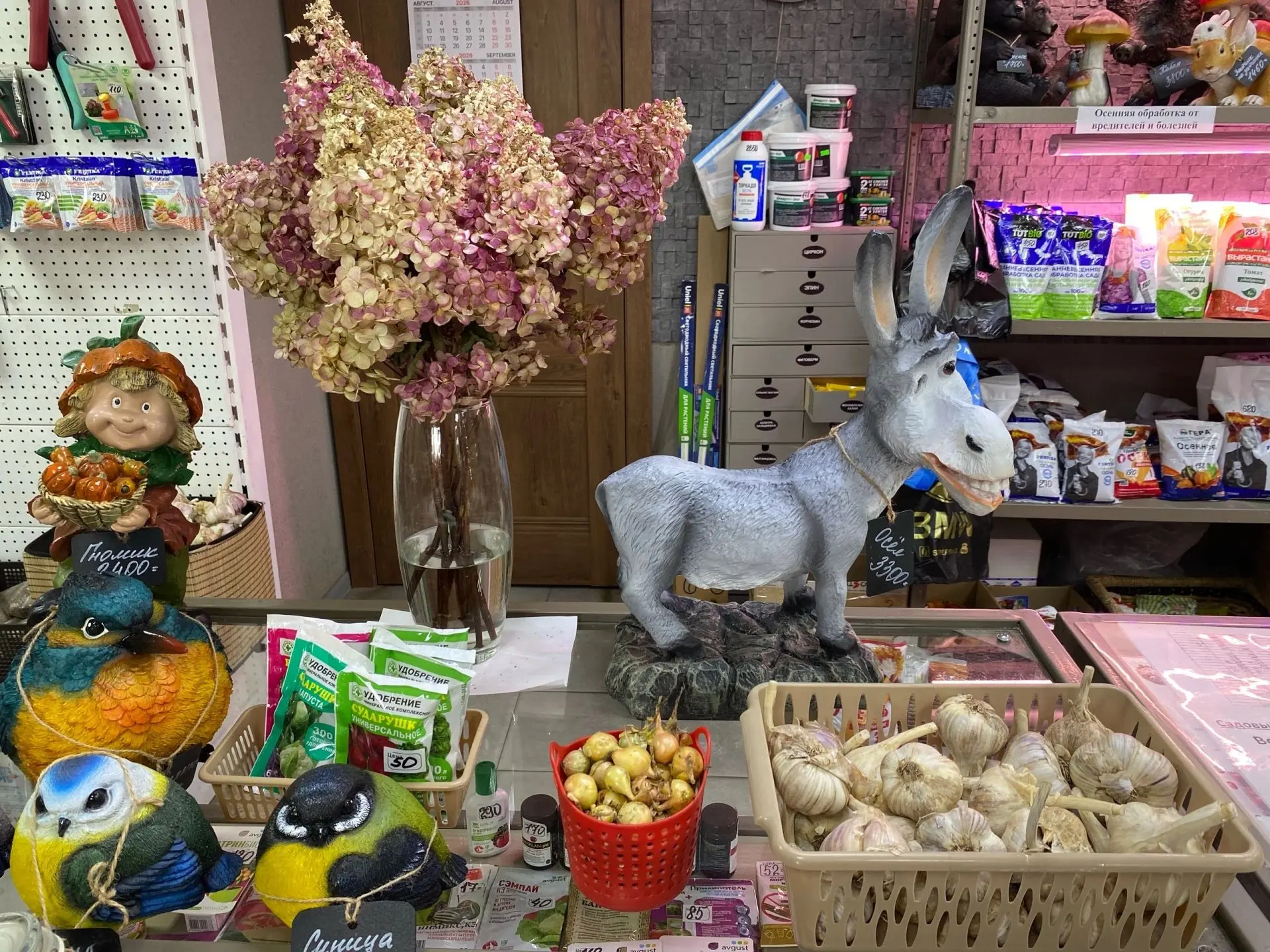 Пополнение ассортимента 🧅🧄