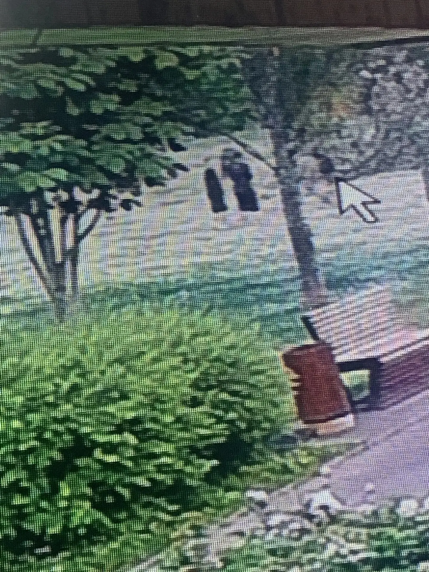 В субботу 13го июня в районе 21.00 на поле стадиона Авангард напротив кафе был украден трюковой само