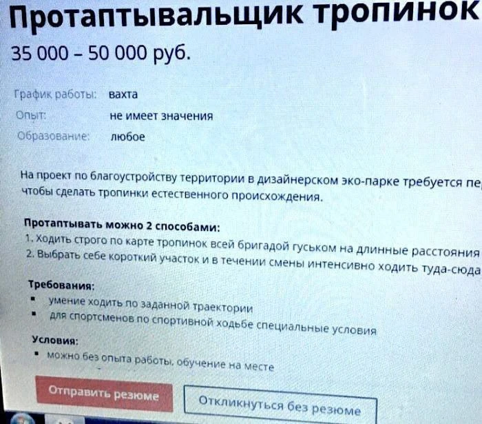 Я всё это время работал бесплатно???