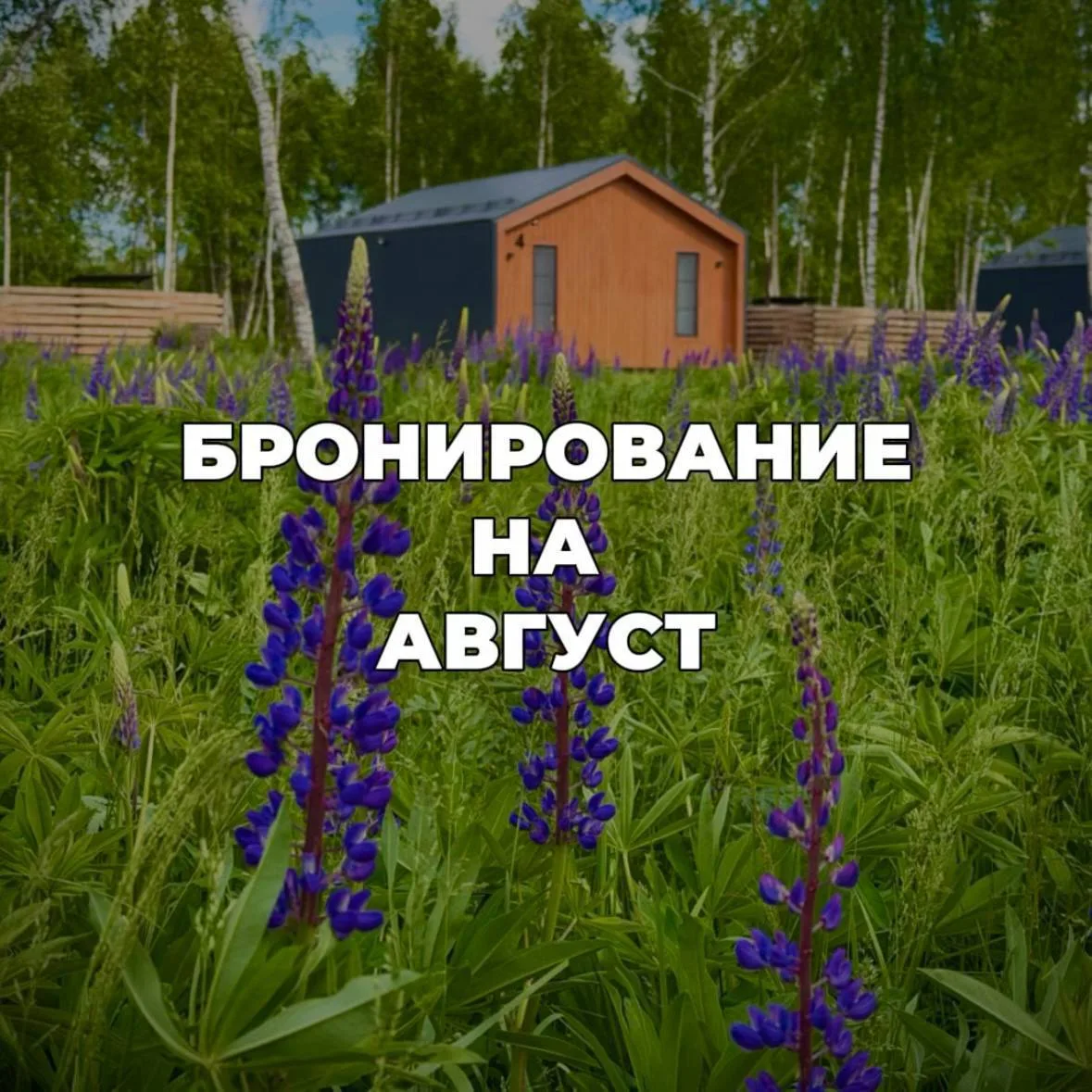 🌿 Свободные даты в августе