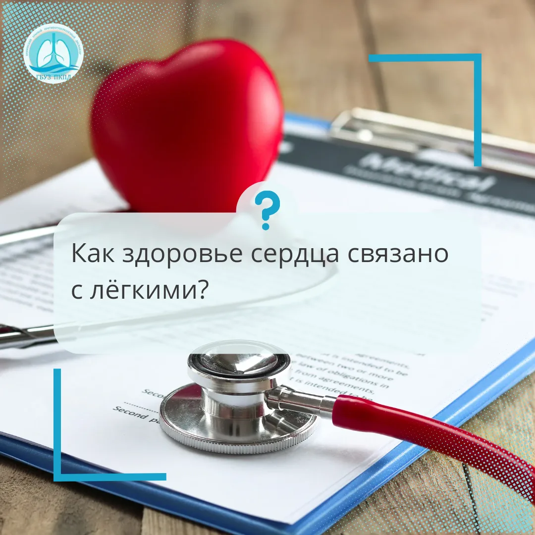 Сердце и легкие: идеальный тандем или замкнутый круг? 🫁❤️