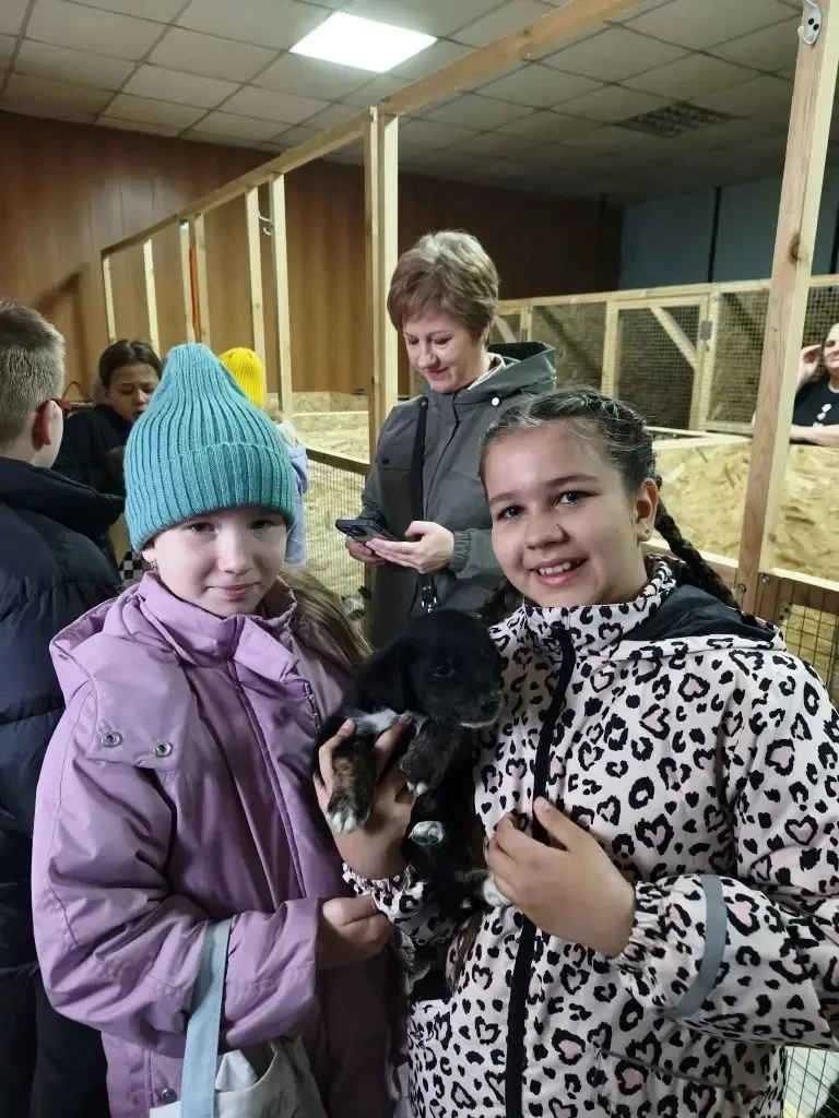 Сегодня ученики 3 ,,В" класса посетили  🦮🐩🐕 приют    ,,Четвероногий ангел". Ребята с родителями прин