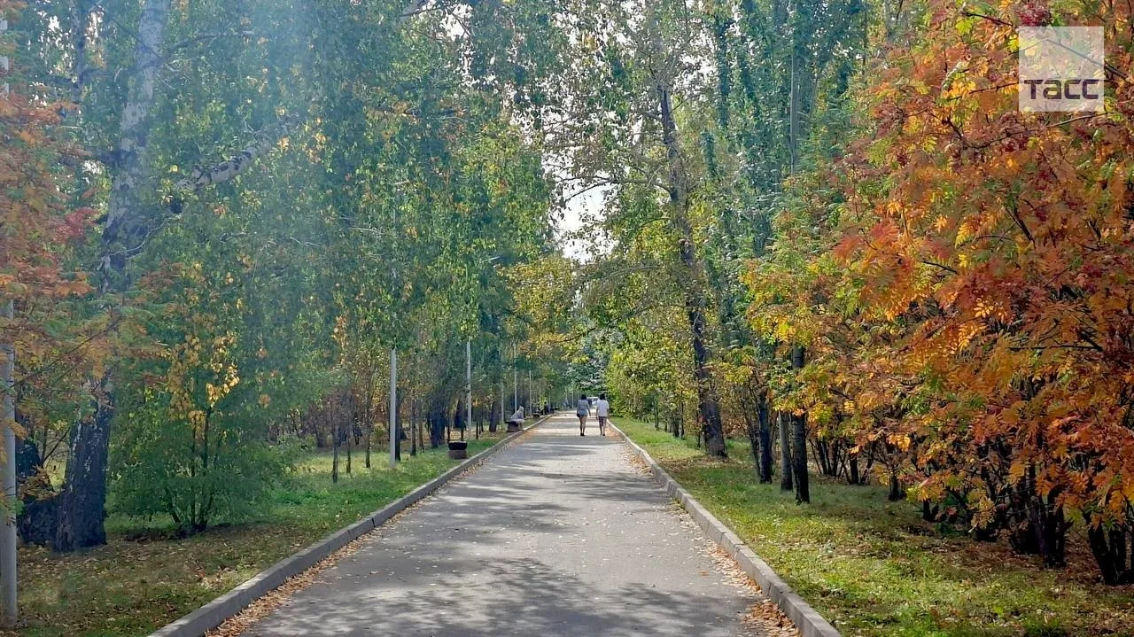 ▶️ Прогулка по осеннему омскому парку.
