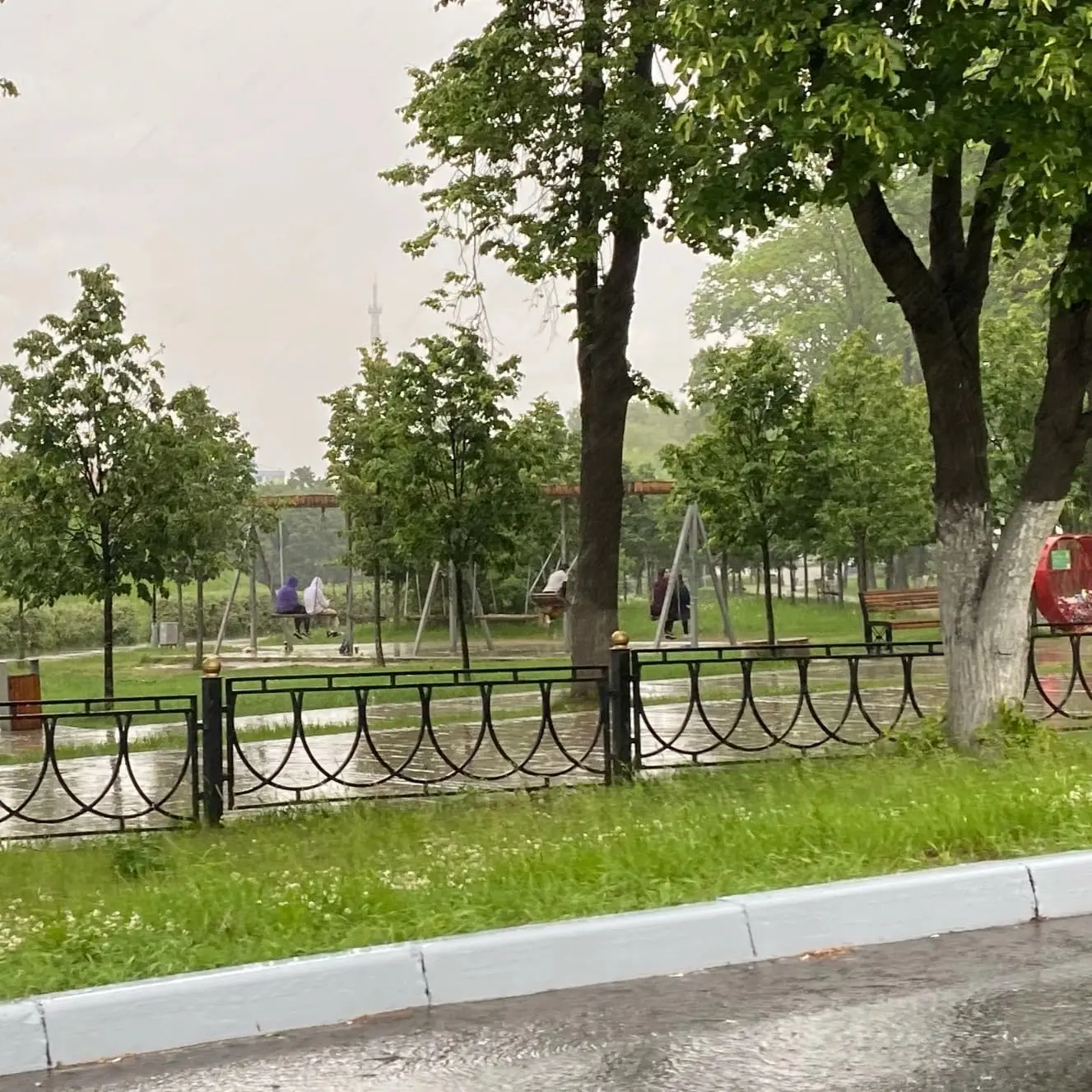 На Подмосковье этой ночью обрушится тропический ливень, — синоптики