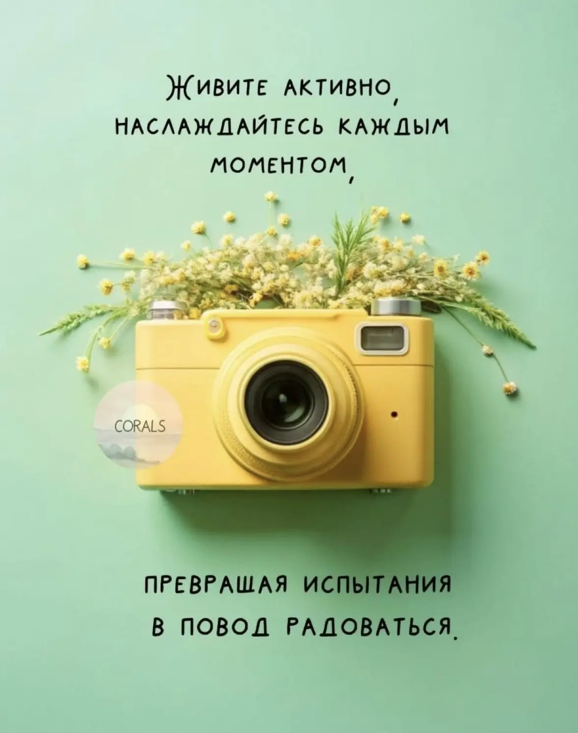 ☀️Доброе утро, дорогие!☀️