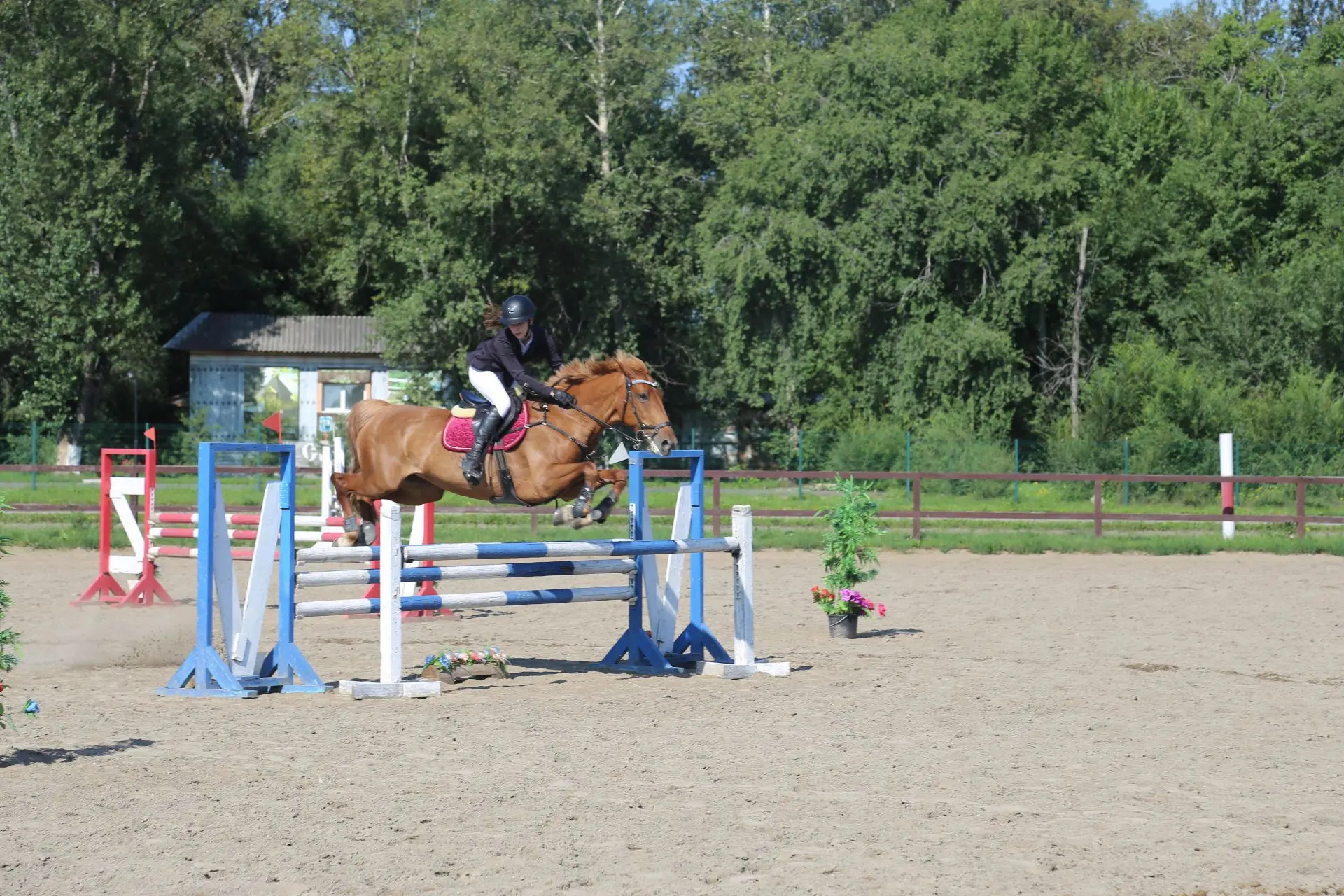 🐎 Наездники Хакасии поддержали земляков на СВО! 🐎                            В минувш...