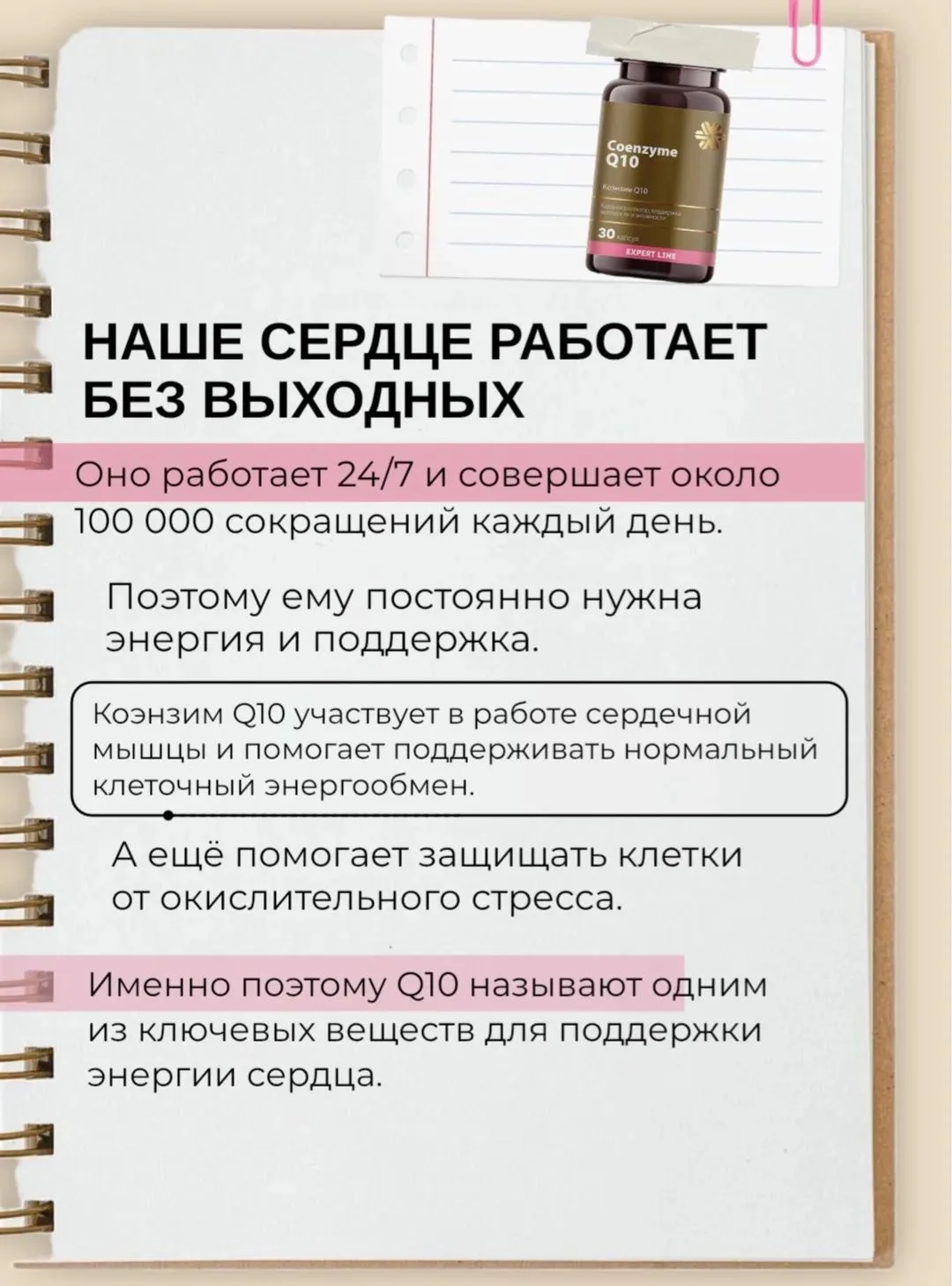 Почему все говорят именно про сердце? ❤️

Наше сердце - самый трудолюбивый орган.

Оно работает 24 ч