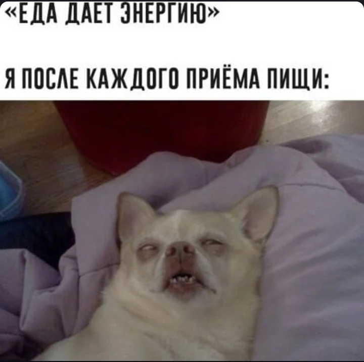 Дорогие родители, с первым сентября вас!