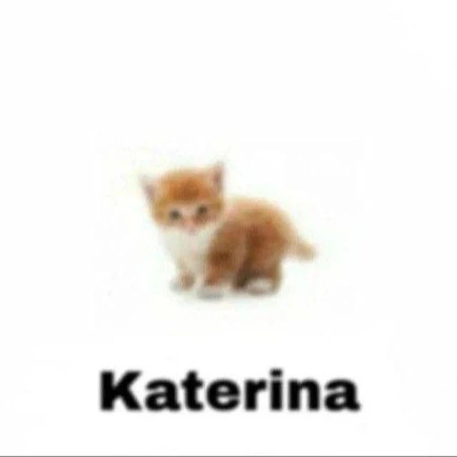 кидай кате