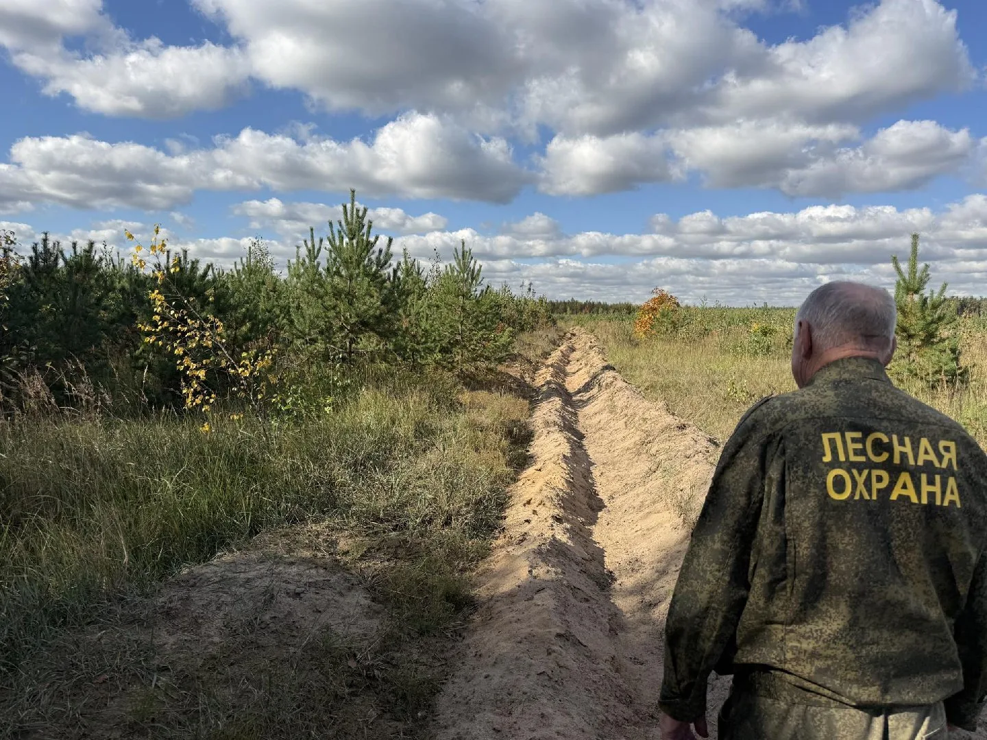 В Островцах привели в порядок сосновый лес, который появился здесь после акции «Лес Поб...
