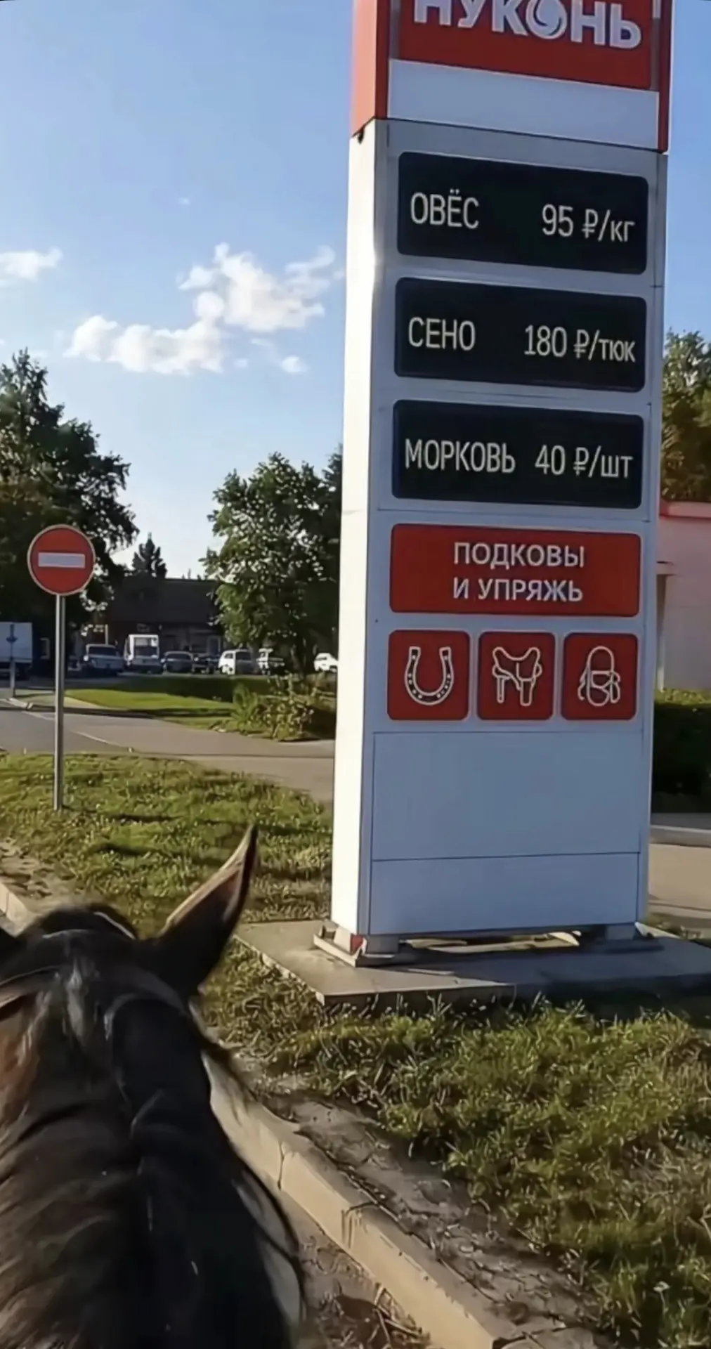 📢Овса до полного, пожалуйста 🙏