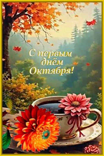 ЖИВЫЕ ОТКРЫТКИ🫶🏻