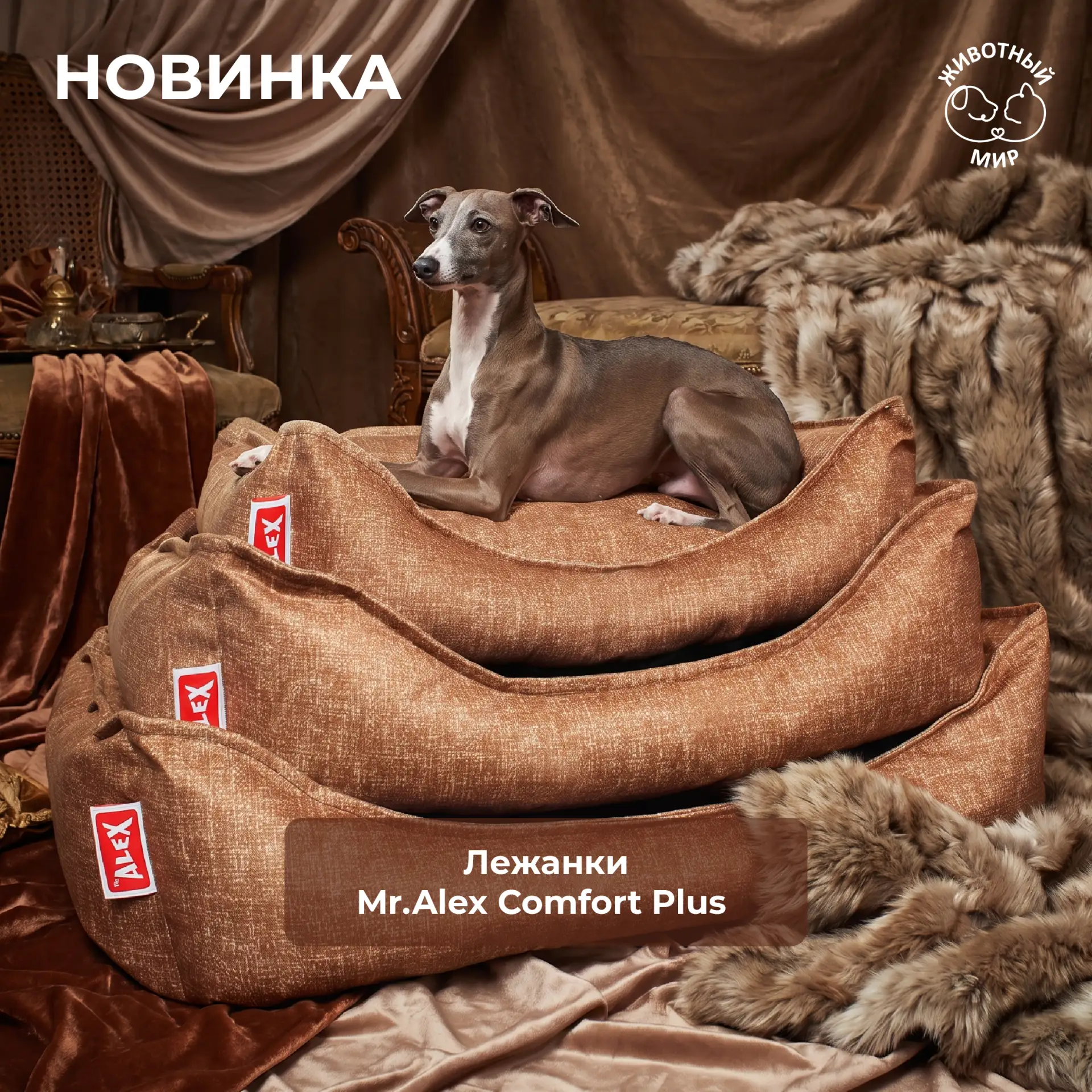 ✨ Премиальный уют для вашей витрины: встречайте новинку — лежанки Mr.Alex Comfort Plus!