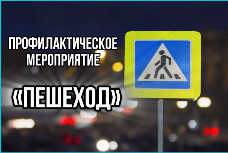 С 4 по 6 октября на территории Кочубеевского муниципального округа проходит профилактич...