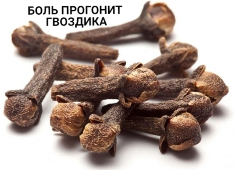 БОЛЬ ПРОГОНИТ ГВОЗДИКА! 
Боль в спине, в локтях и коленках, при артрозах, ревматизме, радикулите, ми